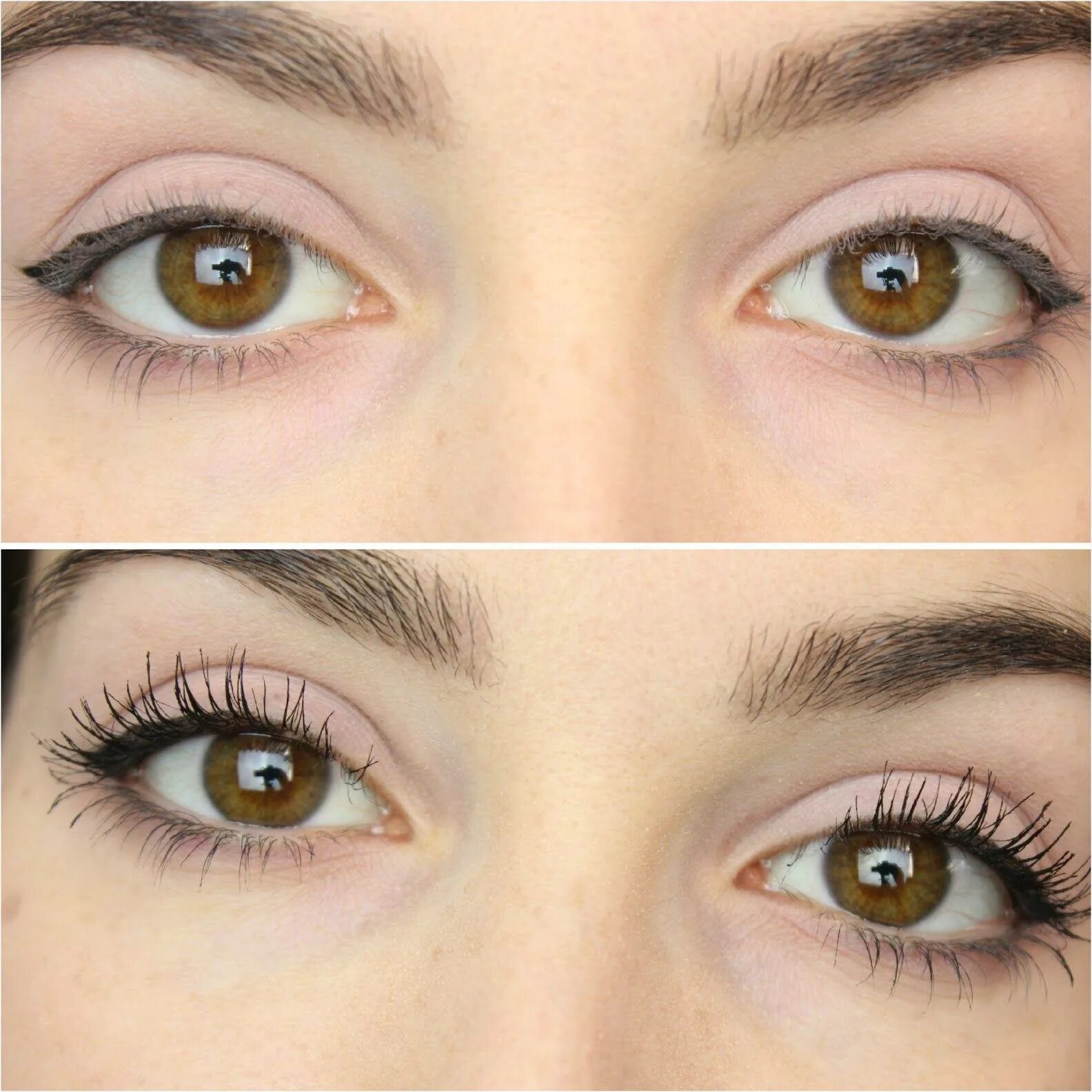 Eyelashes для ресниц отзывы