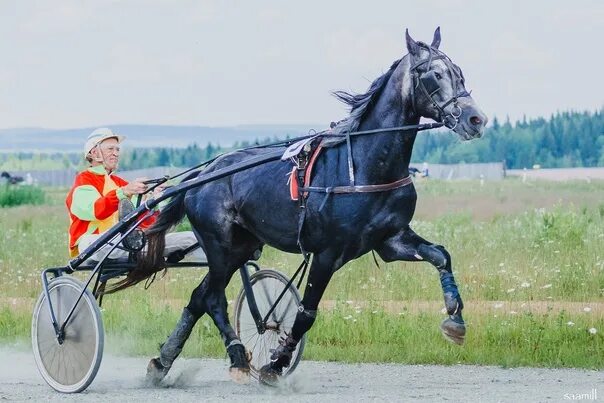 Висимский ипподром. Висимский ипподром