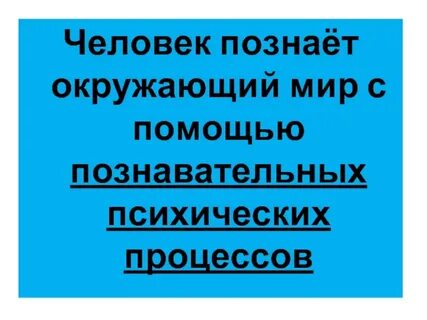 Человек познающий внешний мир