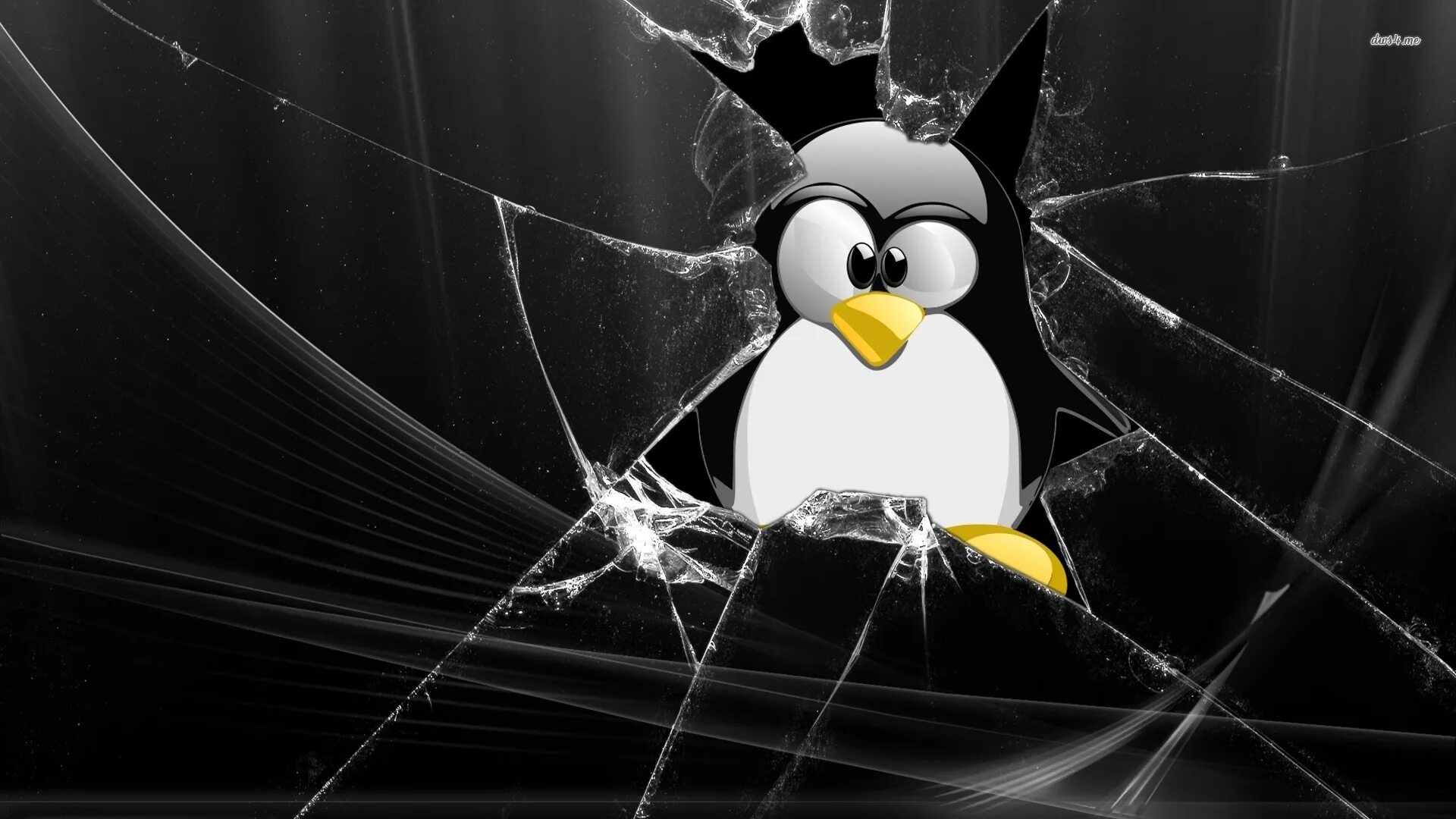 Загрузить линукс. Линукс. linux заставка. фон рабочего стола линукс. фон для рабочего стола пингвины.