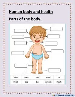 Parts of the body worksheets