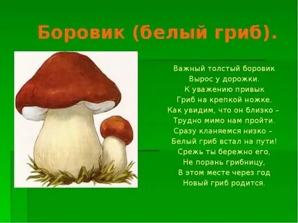 Пишется гриб или гриб
