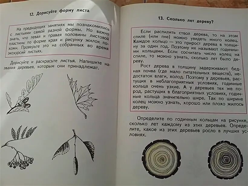 Экология наблюдаем изучаем 3 класс читать. Экология наблюдаем изучаем 3 класс читать