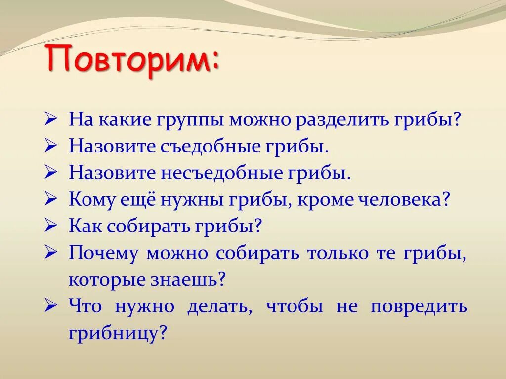 Какое основание позволило разделить грибы