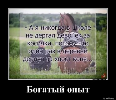 Богатый опыт