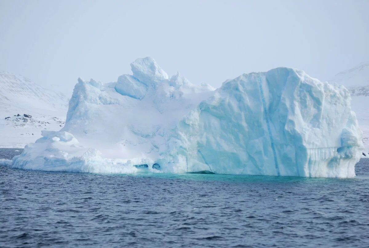 Южная часть тихого океана на карте. Описание индийского океана. Большой риф расположенный у берегов австралии. Описание тихого океана. Сообщение про индийский океан.