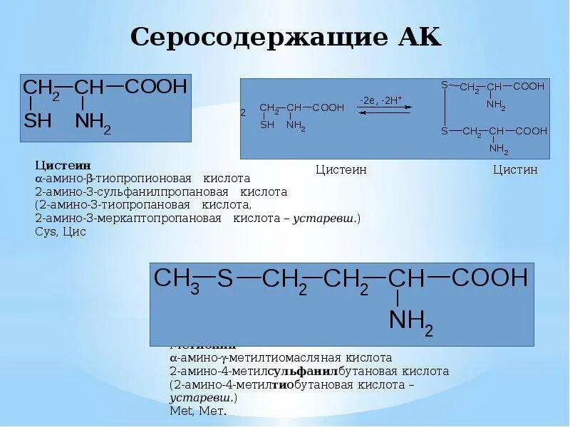 Реакция на серосодержащие аминокислоты. Серосодержащие аминокислоты. серосодержащие ак. серосодержащие аминокислоты формулы. серосодержащие амины.