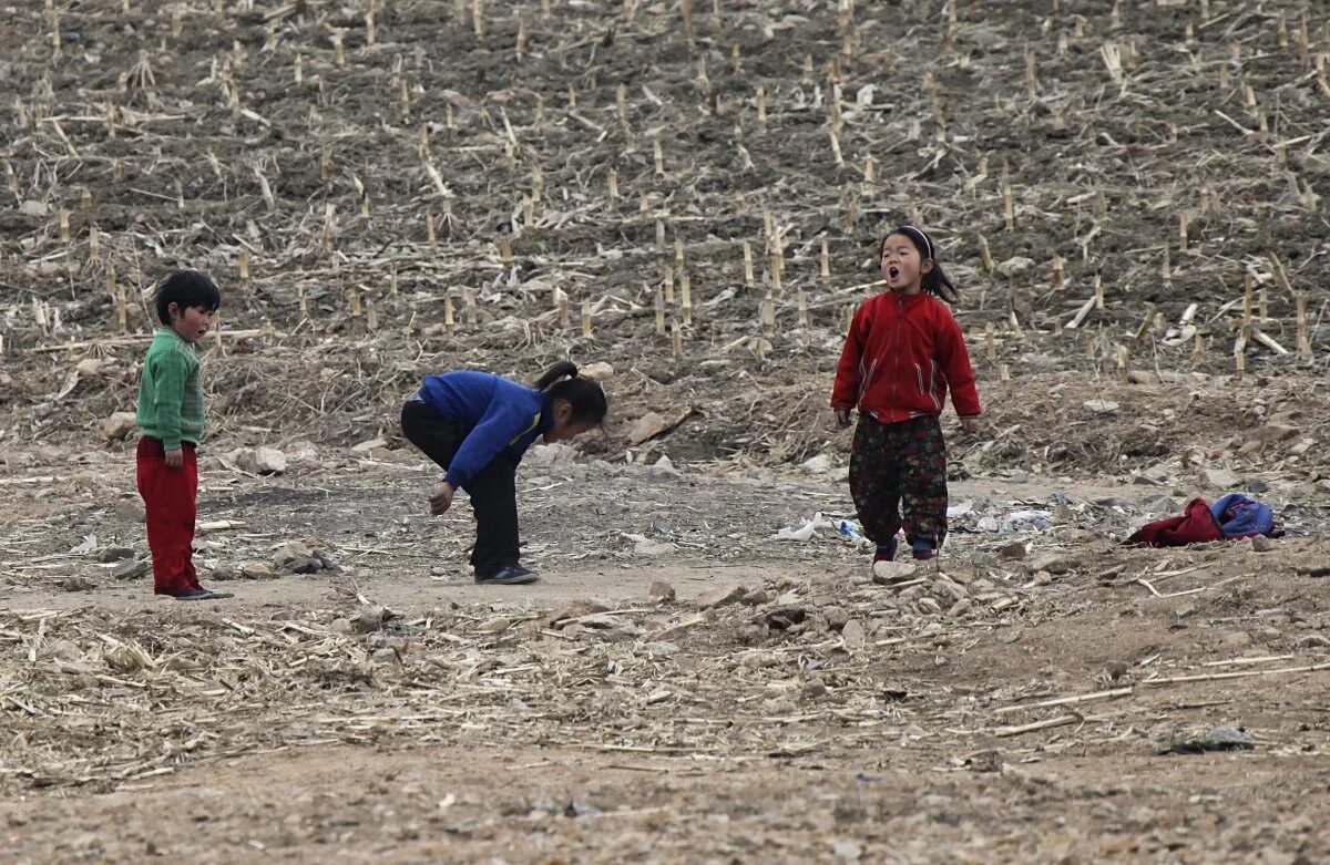 Голод в северной корее. Северная Корея дети. Корея детский труд.