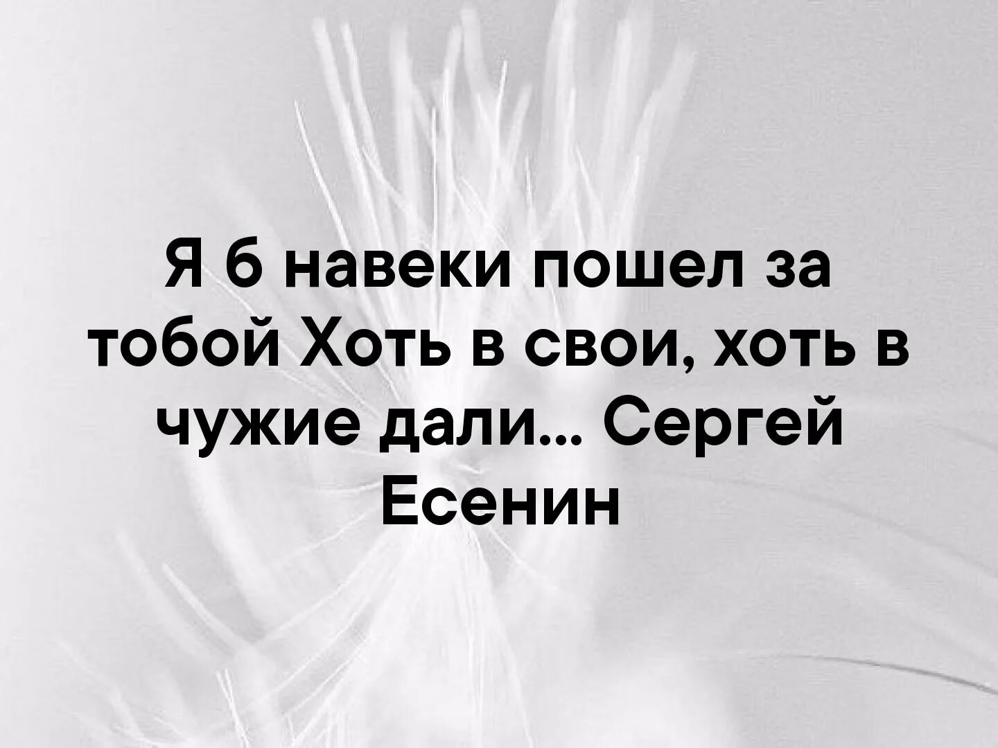 Я Б навеки пошел за тобой хоть. Есенин я б навеки пошел за тобой. Я Б навеки пошел за тобой хоть в свои хоть в чужие дали. Есенин хоть в свои в чужие дали.