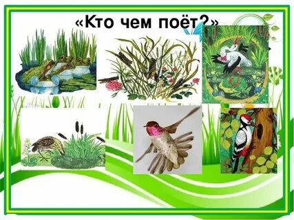 В бианки кто чем поет главные герои
