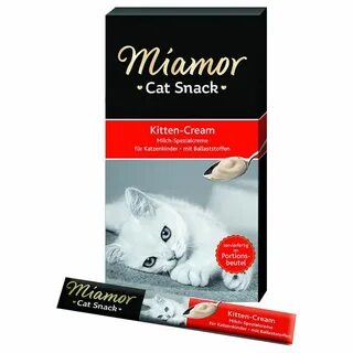 The cream kitty