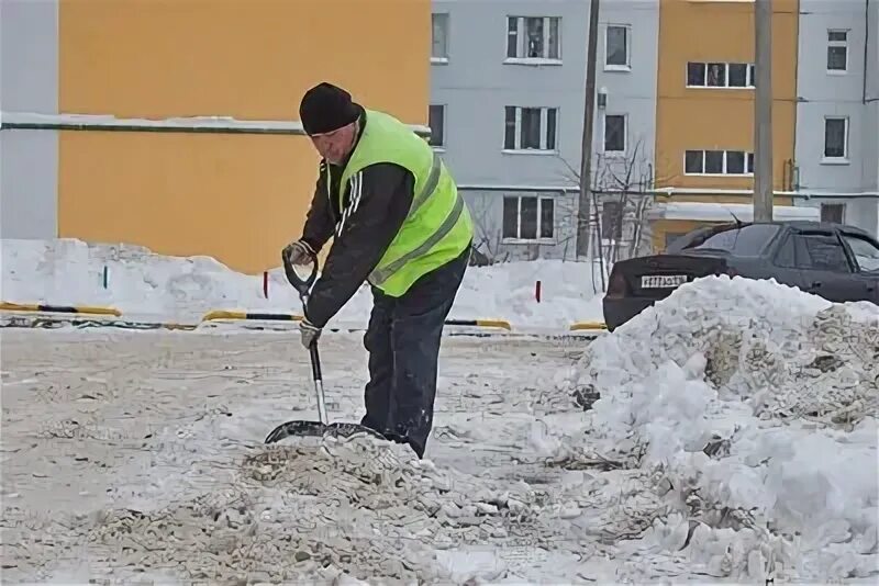 Дворники в тсж. Дворники в тсж. Дворники в тсж. Дворник в тсж. Дворники в тсж.