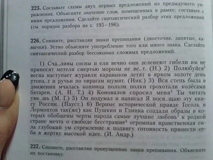 Счастливы сосны