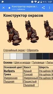 Конструктор окрасов с гетерохромией