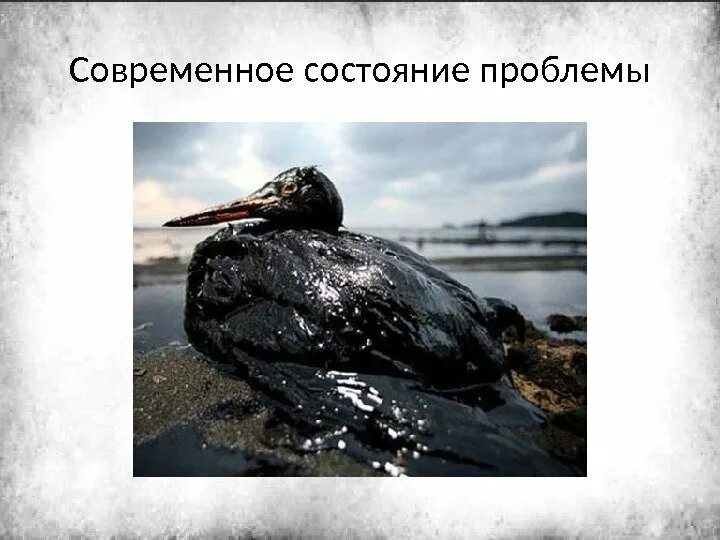 Факторы влияющие на цену нефти. Влияние нефти на политику. Загрязнение нефтью окружающей среды презентация. Влияние нефтепродуктов на окружающую среду. Влияние нефти на политику.