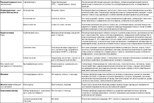 Железы смешанной секреции таблица - справочник Mohs.ru