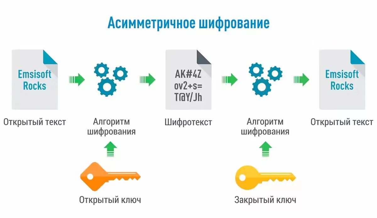 Криптография: что это и для чего нужна РБК Тренды