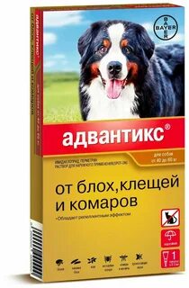 Рейтинг средств от клещей для собак 2024