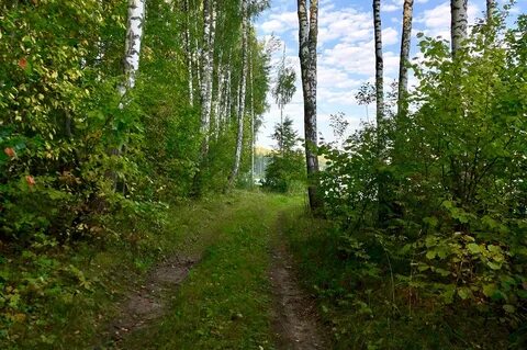 Орловская область край