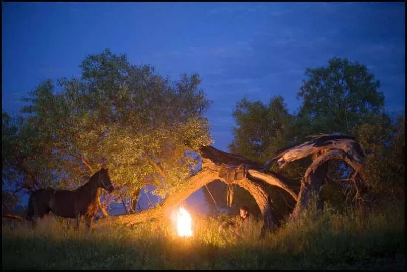 Люди у костра в лесу. У костра на траве спала собака пастуха. Мужчина сидит у костра. Костер в тайге. У костра на траве спала собака пастуха.