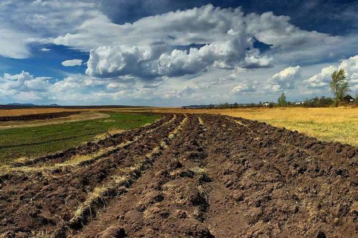 Почвы с х