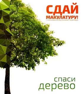 Листовок деревья