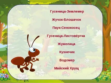 Жучка тест