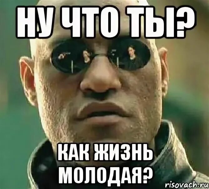 Как жизнь молодой человек ответ. Ну как жизнь молодая. как жизнь мем. ну как жизнь. привет как жизнь молодая.