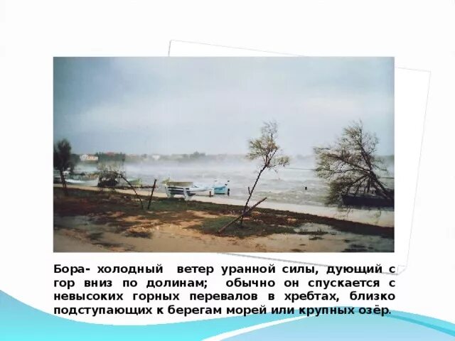 Холодный ветер в приморских местностях 4 буквы. Холодный ветер в приморских местностях 4 буквы