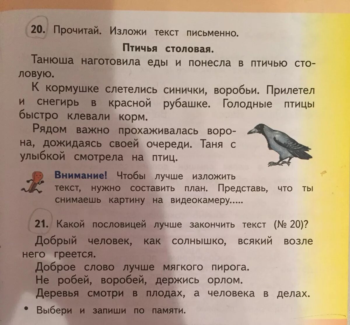 План текста Птичья столовая. Рассказ птичи столовая. Сочинение Птичья столовая. Птичья столовая текст.