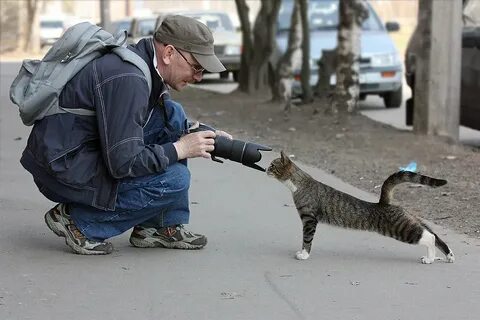 Забавные случаи из жизни
