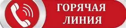 Баннер теплей. Горячая линия по питанию в школе. Горячая линия. Горячая линия школьное питание. Горячая линия по школьному питанию.