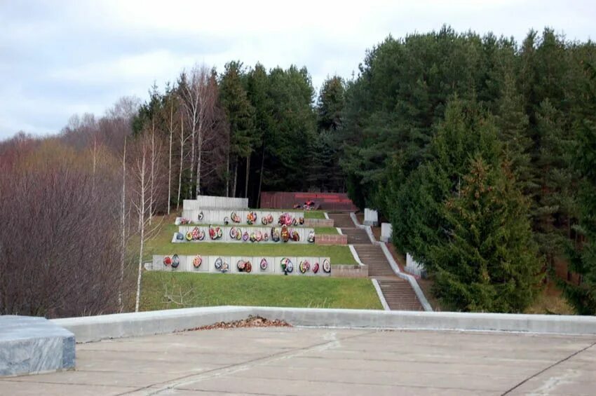 Зубцовском районе ржев