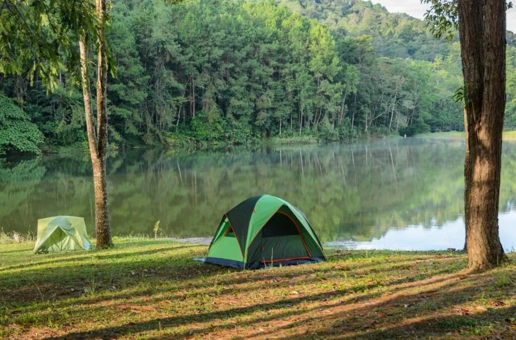Лес палатка около озера. Кемпинг около озера. Вид с палатки на озеро. В палатки около озера Черток.