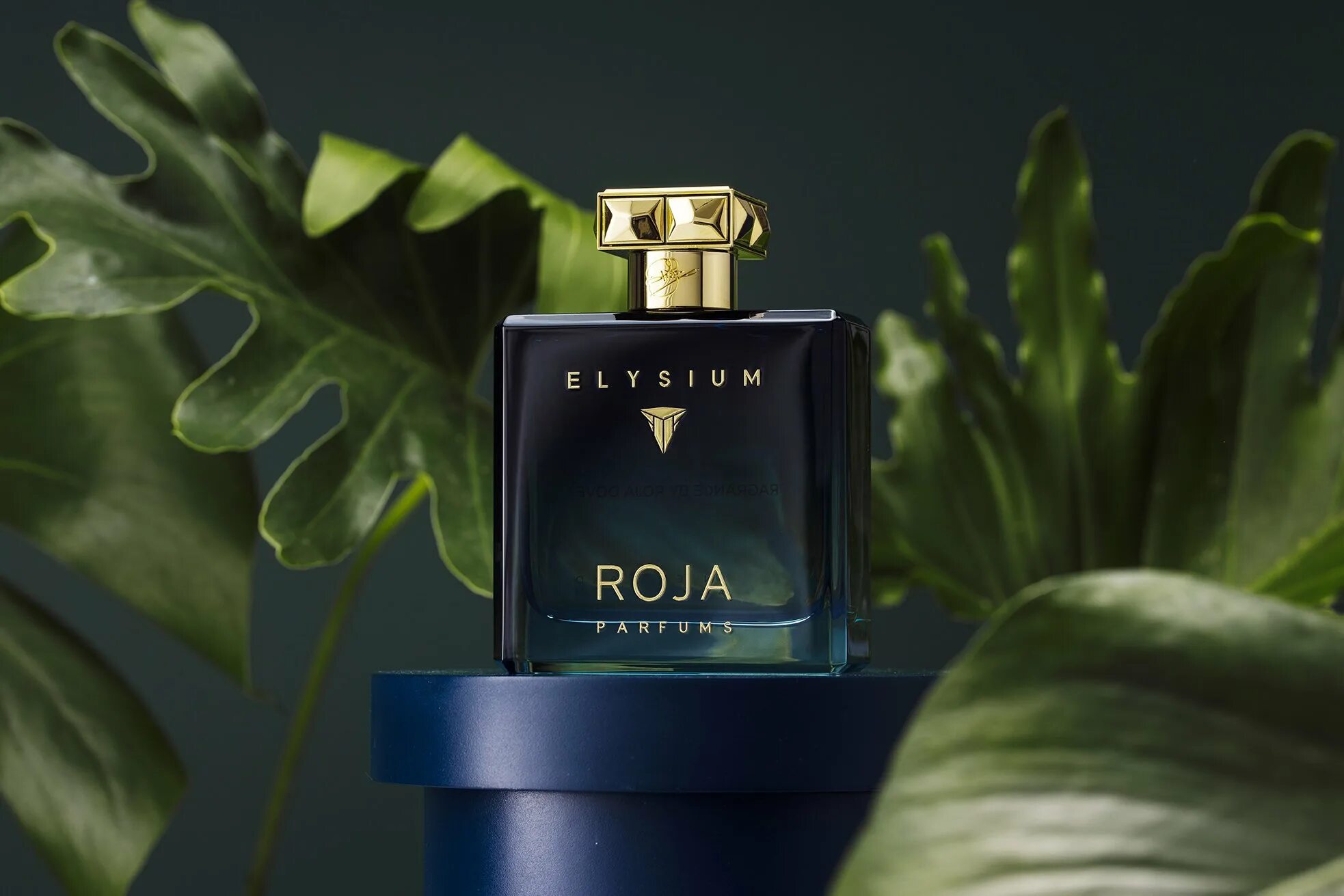 Roja dove elysium homme cologne