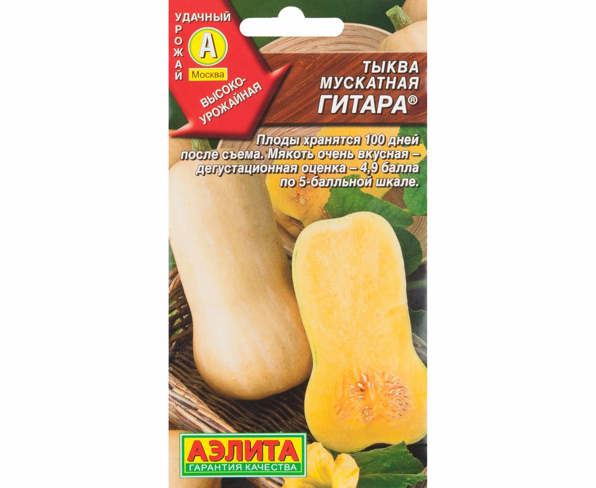 Сорт тыквы гитара