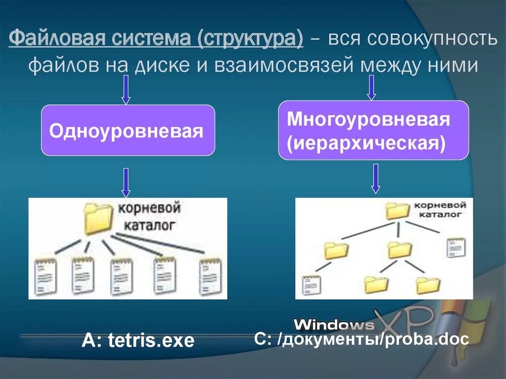 Файлы и файловая система. Структура файловой системы. Структура папок и файлов. Файлы и файловые структуры. Файловые системы windows 7