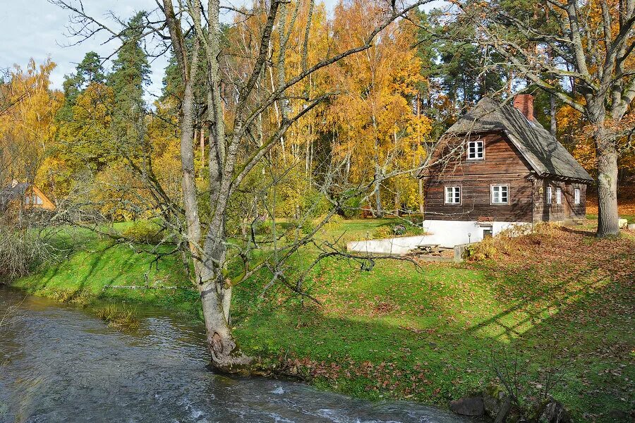 Осень в деревне. Деревня осенью. Осенний домик в деревне. Домик в деревне осень. Улицы и дома на реке