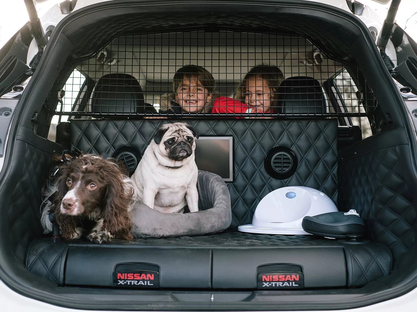 Ниссан 4dogs.. Ниссан х-Трейл для путешествий. Nissan for Dogs. Nissan x Trail and Dog. Перевезти личный автомобиль