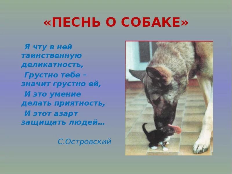 Стихотворение песня о собаке. Песнь о собаке. Стих песнь о собаке. Песнь о собаке анализ. Композиция стихотворения песнь о собаке.