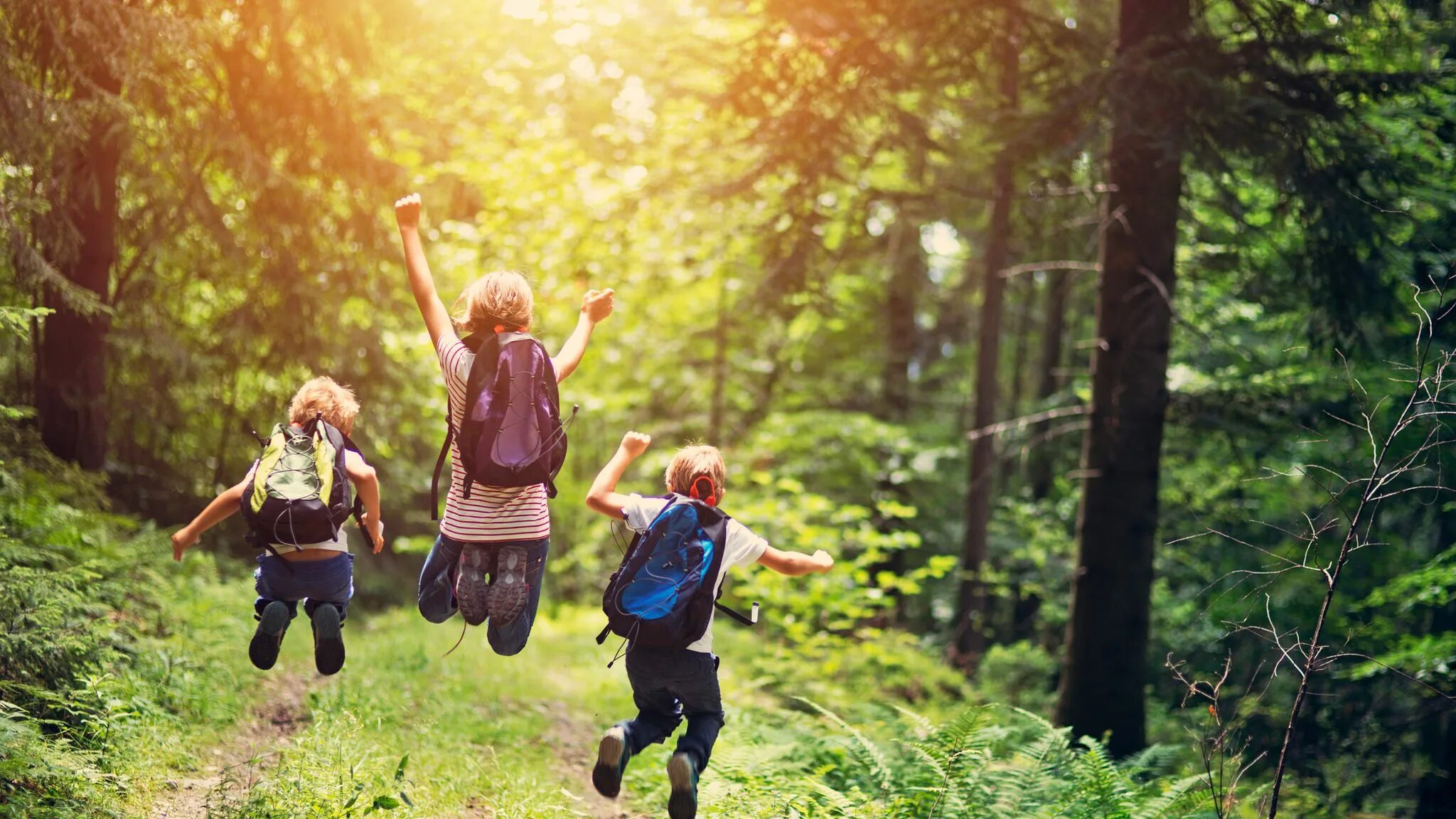 Поход в лес с детьми. Радостные дети в лесу. Поход с детьми на природу. Туристический поход с детьми.