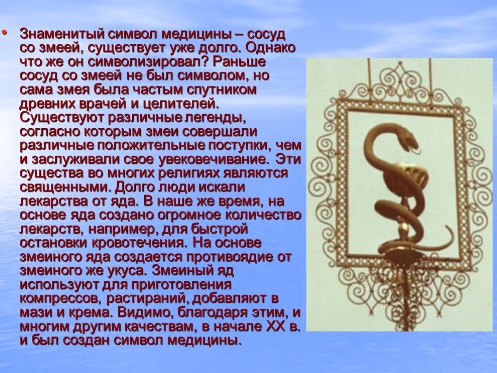 Символ медицины. Змея символ. Почему символом медицины является змея.