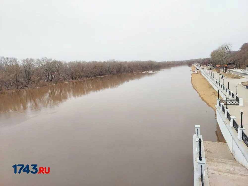 Какой уровень урала в оренбурге сегодня. Разлив реки Сакмара Оренбург. Река Урал Оренбург. Уровень воды у Оренбурга. Уровень воды в реке Сакмара у татарской Каргалы.