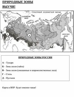 Природные зоны карта впр