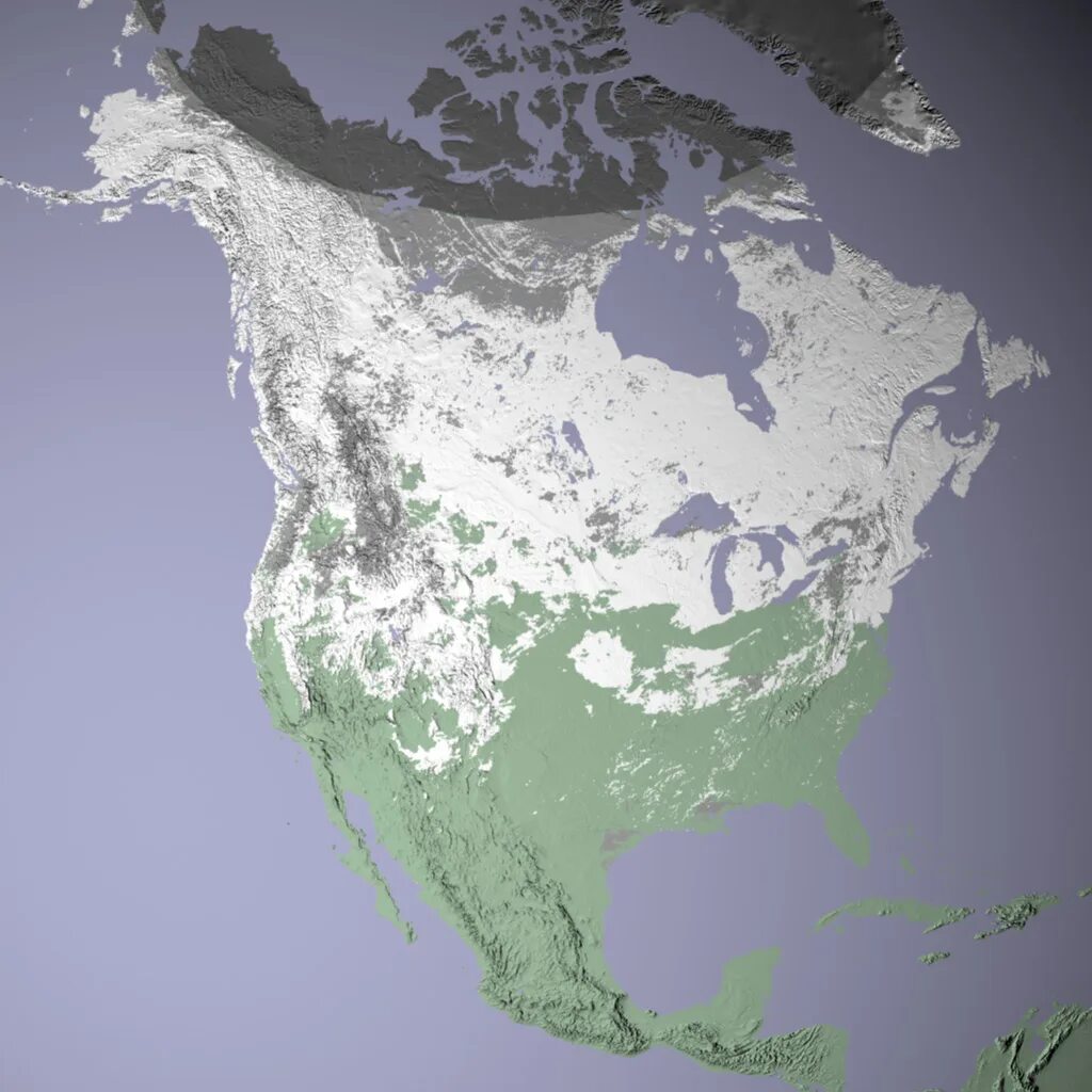 Snow coverage. Earth map snow cover. american snow.