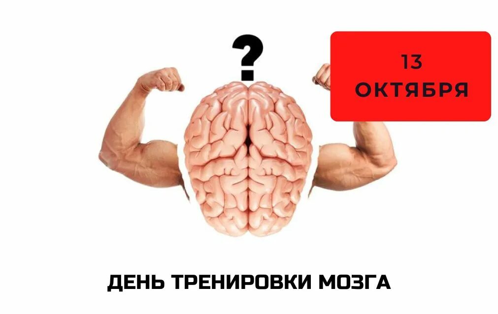 Тренировка мозга. Тренируем мозг. Мозг тренируется. Упражнения для мозга.