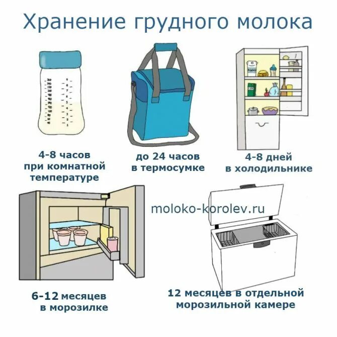 Сколько можно хранить в бутылочке сцеженное молоко. Сколько можно хранить сцеженное молоко. сколько хранится грудное молоко в холодильнике в бутылочке. как правильно хранить грудное молоко после сцеживания. как долго можно хранить сцеженное молоко.