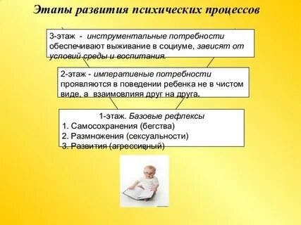 Этапы развития и воспитания ребенка
