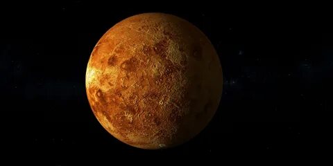 Venus мод