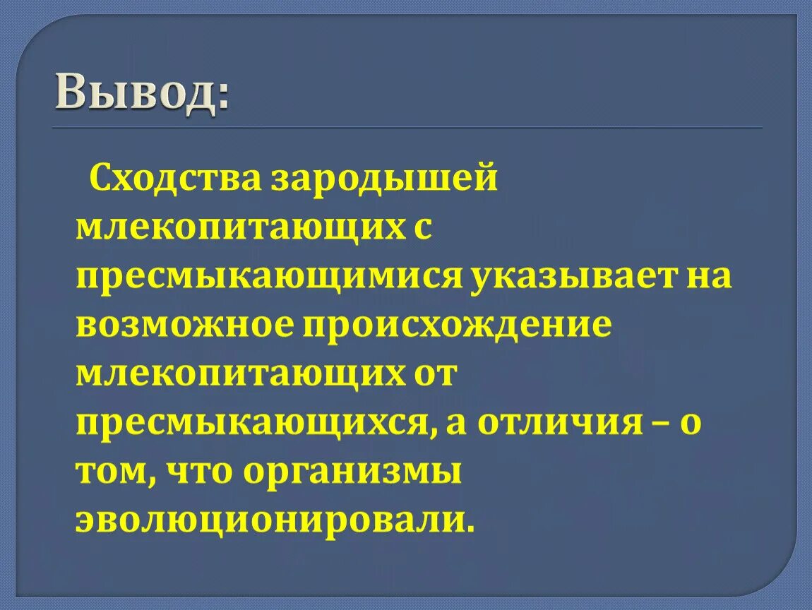 О чем свидетельствует сходство и различие. Вывод о происхождении млекопитающих. Вывод на тему млекопитающие. Сходство млекопитающих с пресмыкающимися. Сходства млекопитающих и пресмыкающихся.